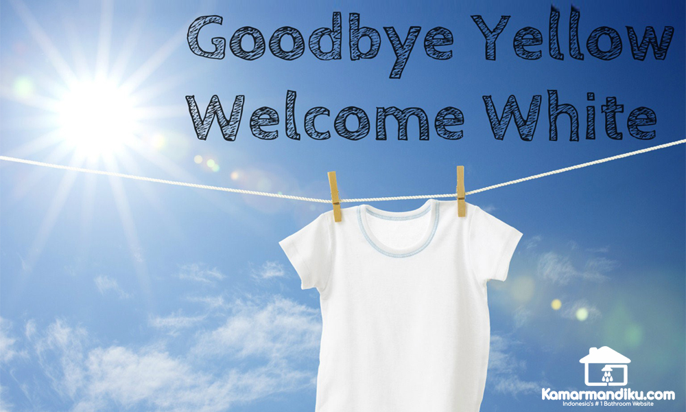 toclas-kamarmandiku-penjernih-air-atasi-masalah-air-kuning-bau-licin-kotor-payau-